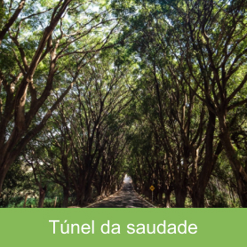 Túnel da saudade